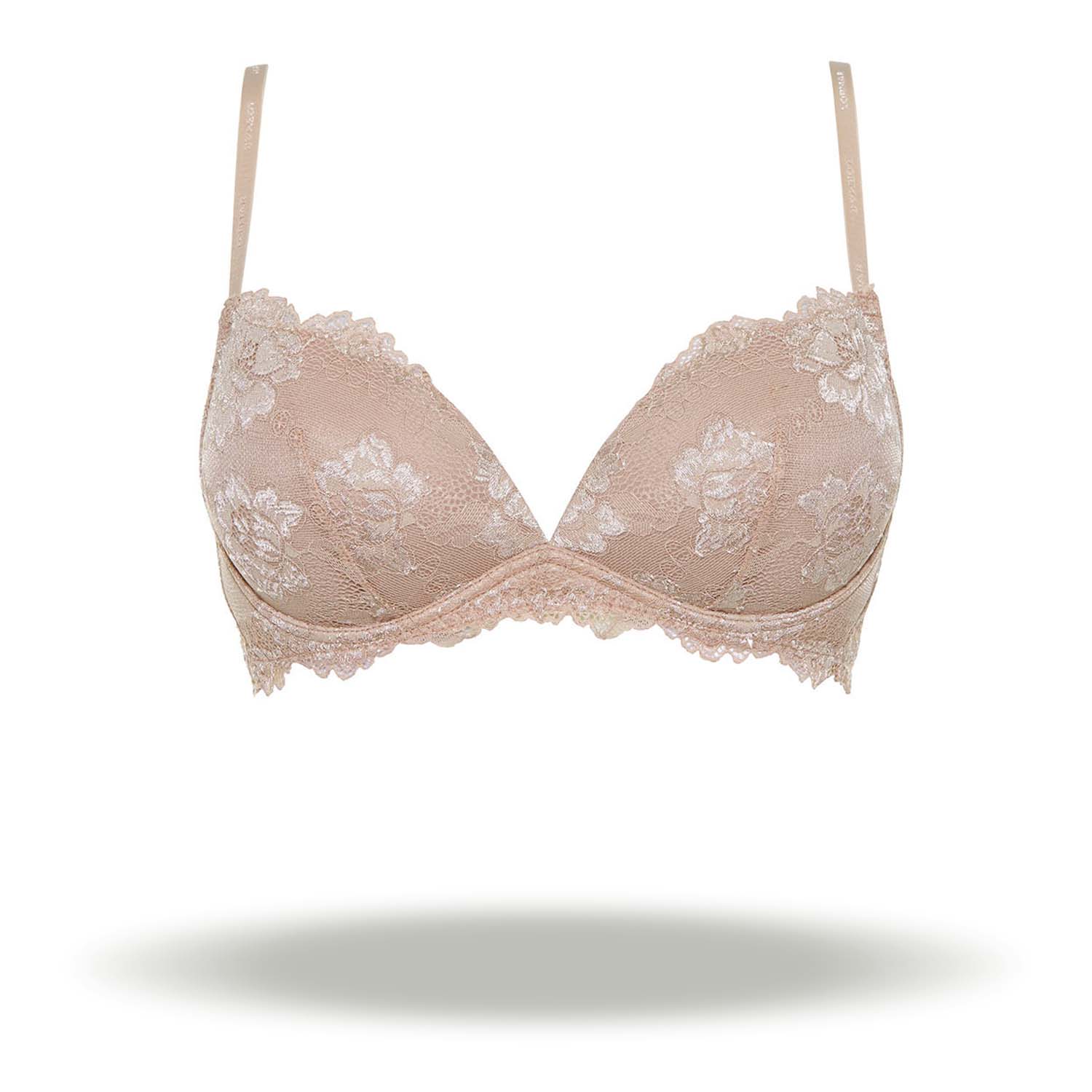 REGGISENO DESIDERIO PIZZO