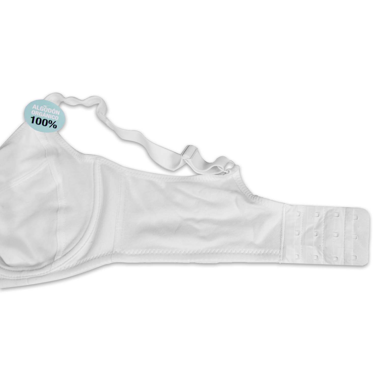 REGGISENO ALESSANDRA