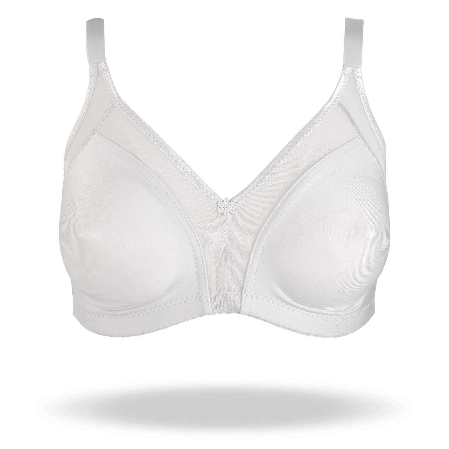 REGGISENO ESTELA