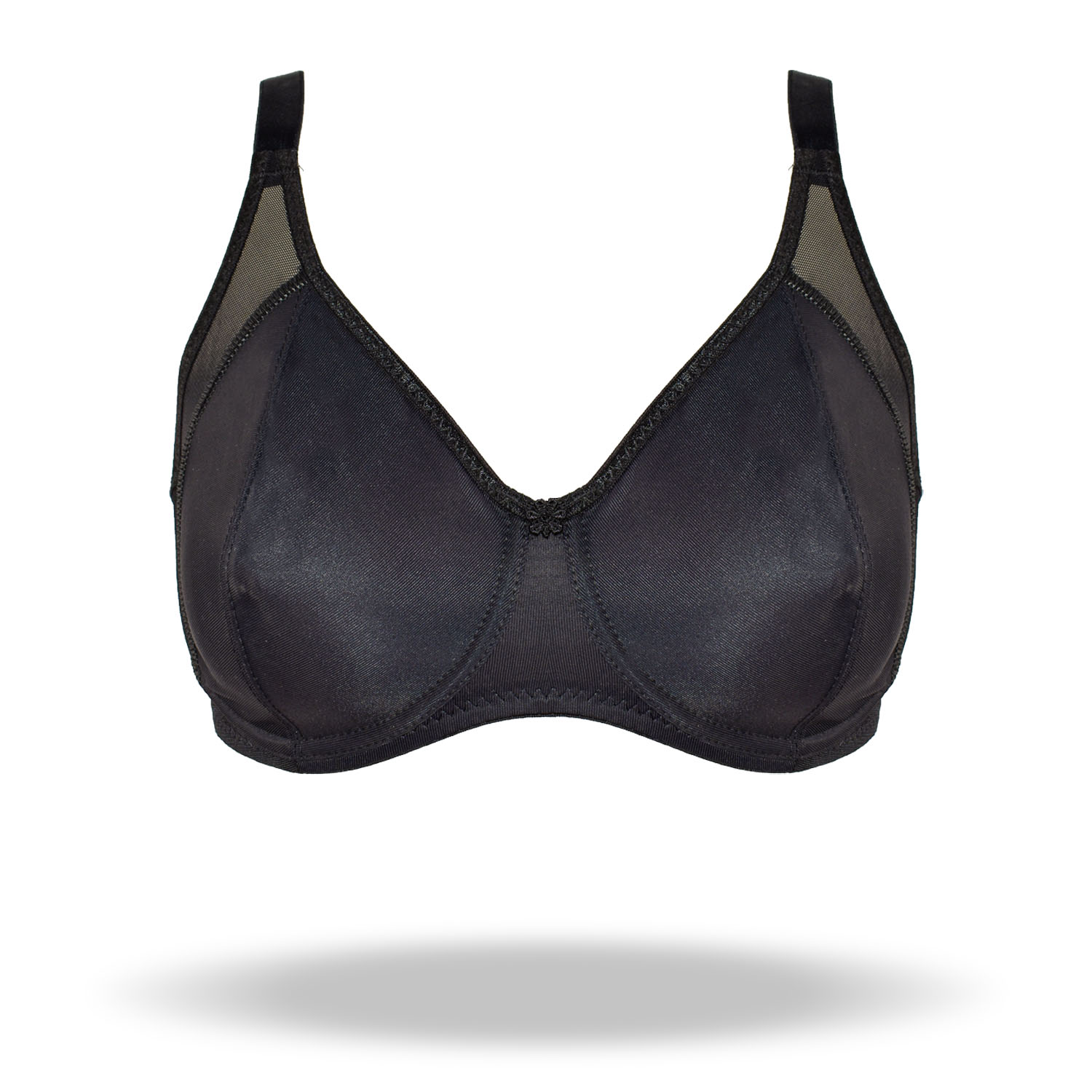 REGGISENO RENATA