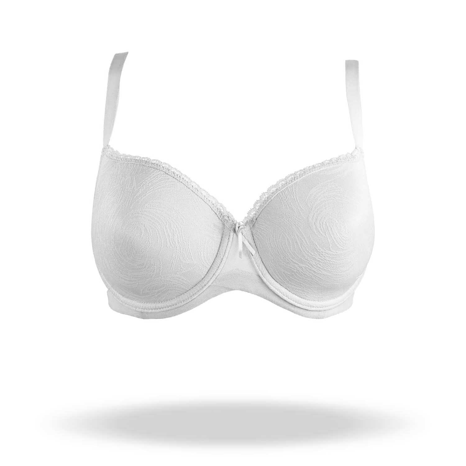 REGGISENO VIOLETA